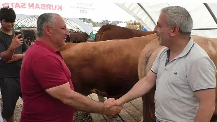 TOGG'un dört ayaklısı rekor fiyata satılıyor!