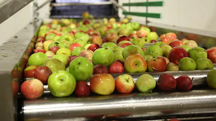 Torku bu alanda Türkiye'de ilk ve tek olma özelliğini koruyor