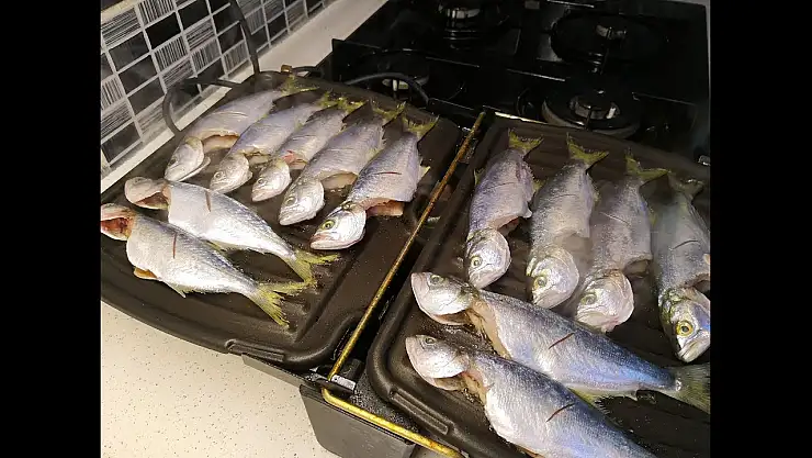 Tost Makinasında Izgara Çipura: Tost Makinasında Izgara Çipura