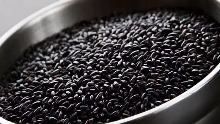 Türkiye'nin gizli hazinesi: Siyah Pirinç