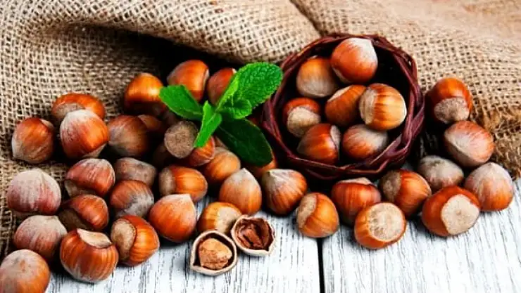 Türk fındığı tehlikede değil ama… Kahveci uyardı: Asıl sorun başka!