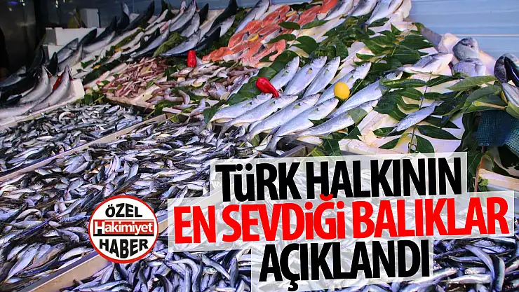 Türk halkının en sevdiği balıklar açıklandı: Hamsi zirvede!