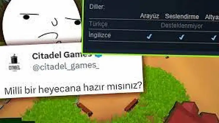 Türk Oyun Şirketi Citadel Games'den tepki çeken çağrı