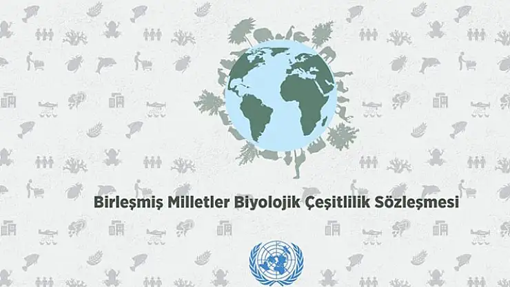 Türkiye, BM Biyolojik Çeşitlilik Sözleşmesi'nin 2024-26 dönem başkanlığını yürütecek