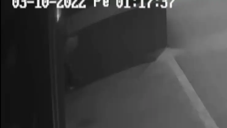 Türkiye bu hırsızı konuşuyor! Dışkısı yakayı ele verdirtti