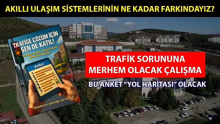 Türkiye trafiğine çözüm arayışı bu ankette gizli