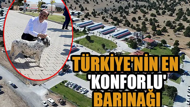 Türkiye'nin en 'konforlu' barınağı