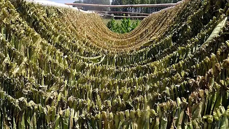 Tütün herşeyi tehdit ediyor