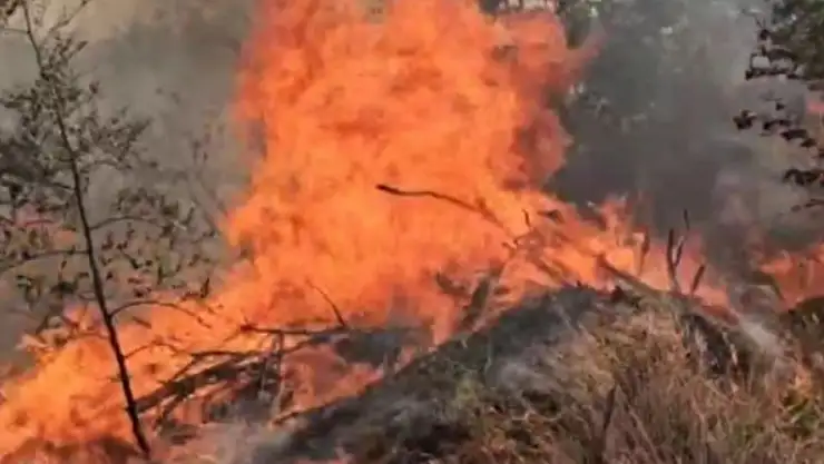 Üç köyü birden etkileyen yangın söndürüldü