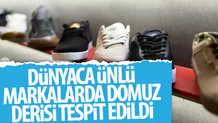 Ünlü Ayakkabı Markalarında Domuz Derisi Şoku: New Balance, Vans ve Camper'a Ceza Yağdı!