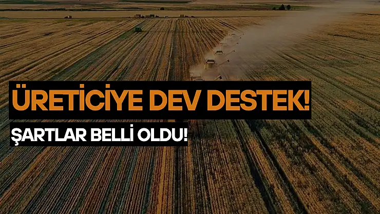 Üreticiye dev destek: Şartlar belli oldu!