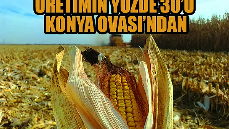Üretimin yüzde 30'u Konya Ovası'ndan