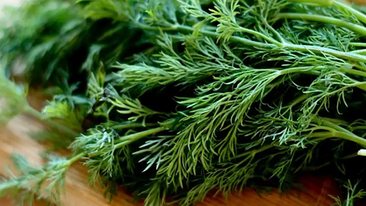 Uyumadan önce rezene yemenin inanılmaz faydaları