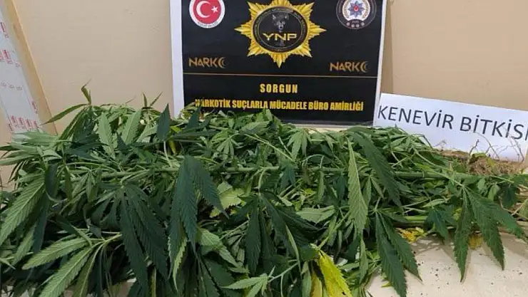 Uyuşturucu operasyonlarında 8 şüpheli yakalandı