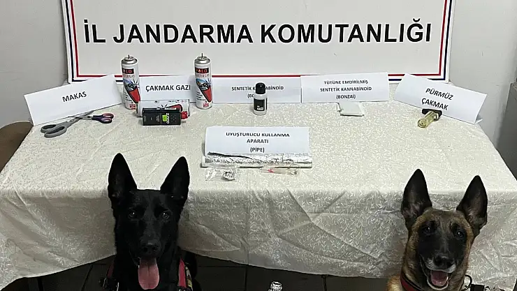 Uyuşturucu operasyonu düzenlendi: 2 kişi tutuklandı