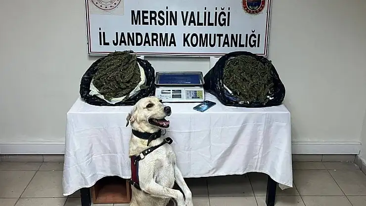 Uyuşturucu operasyonunda 1 kişi tutuklandı!