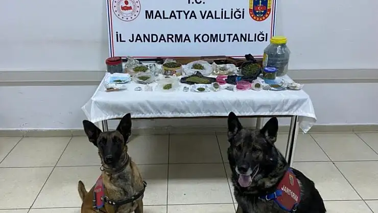 Uyuşturucu operasyonunda 4 bin 246 sentetik hap ele geçirildi