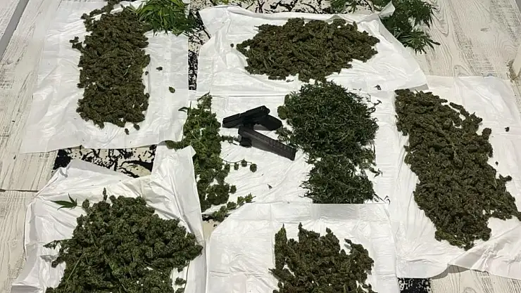 Uyuşturucu tarlasına çevrilen eve baskın