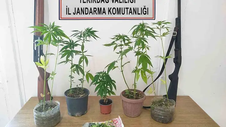 Uyuşturucu ve silah operasyonu: 10 gözaltı