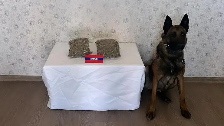 Uyuşturucuyla otobüs yolculuğu yaparken polis yakaladı