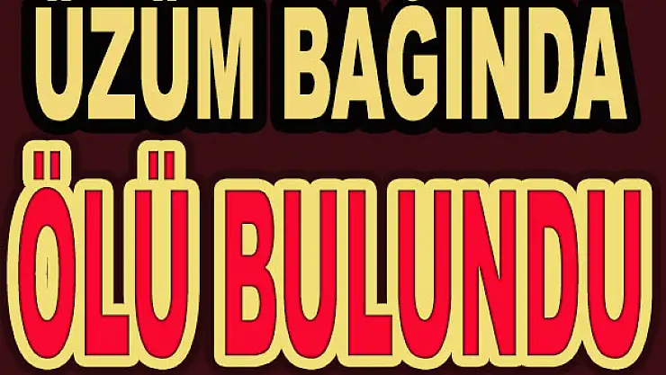 Üzüm bağında ölü bulundu!