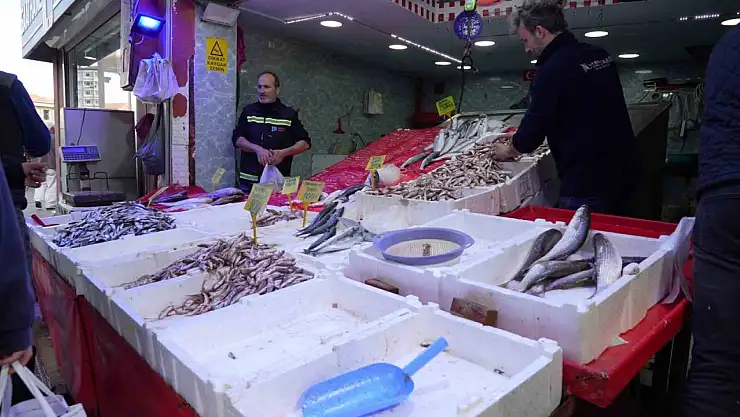 Vatandaş tezgaha gitti, balık bulamadı! Karadeniz'de büyük şok