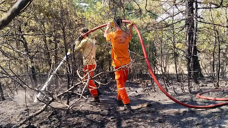 Yangın söndürme çalışmaları başlatıldı