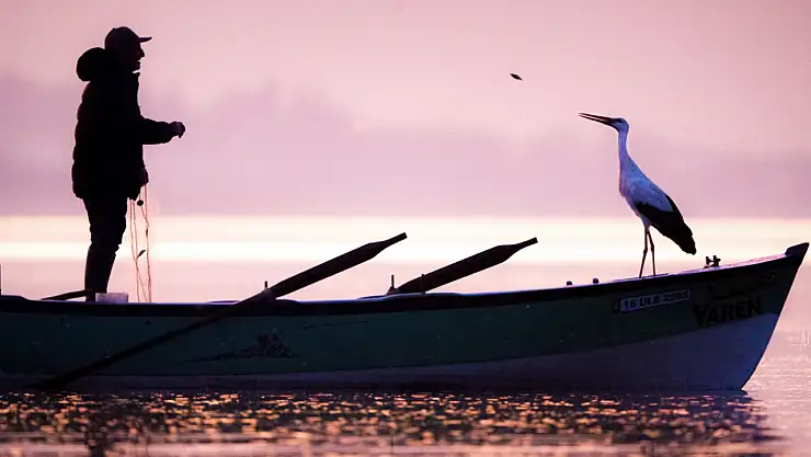 Yaren Leylek siyasetin de gündeminde: 'Hoş geldin umudun, mutluluğun ve vefanın simgesi'