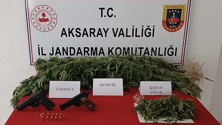 Yasa dışı kenevir üretimine jandarma darbesi