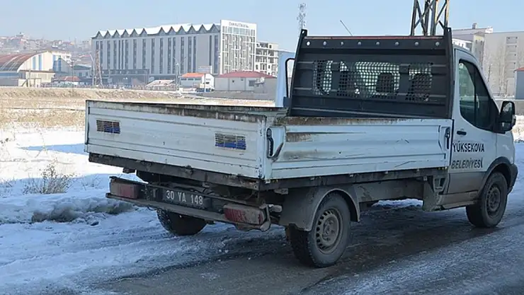 Yaşanan faciadan sonra köpekler toplanmaya başlandı!