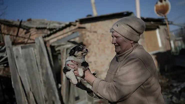Yaşlı çift savaş bölgesindeki 65 hayvana kucak açtı!