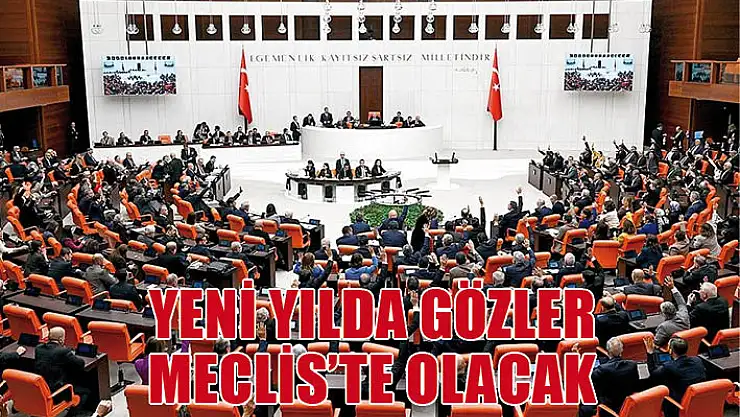 Yeni yılda gözler Meclis'te olacak