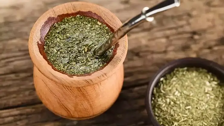 Yerba Mate çayı nedir? Mate çayı nasıl yapılır? Mate çayının faydaları nelerdir?