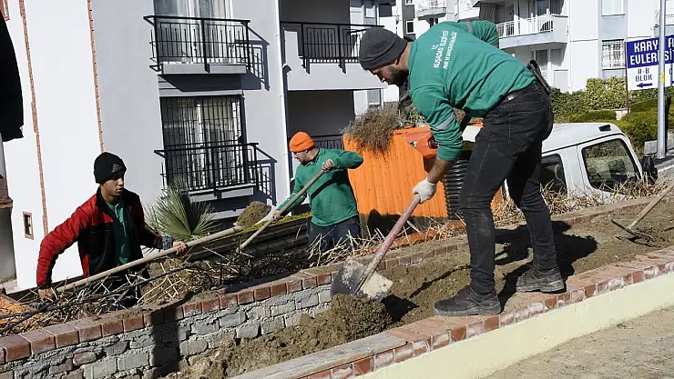 Yeşil alan miktarı her geçen gün artıyor