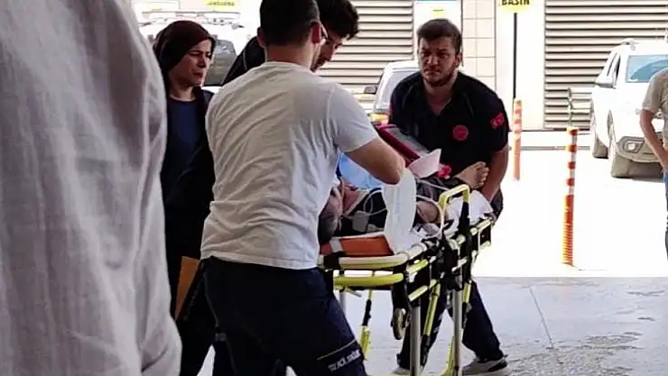 Yetiştirdiği arıların kurbanı oldu