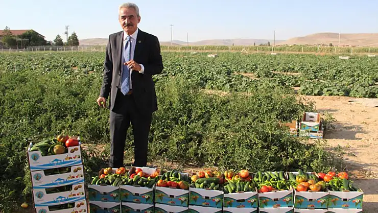 Yok daha neler? Burada salatalık ve domatesin kilosu 1 TL'den satılıyor