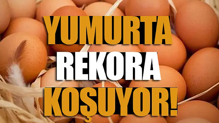 Yumurta rekora koşuyor!