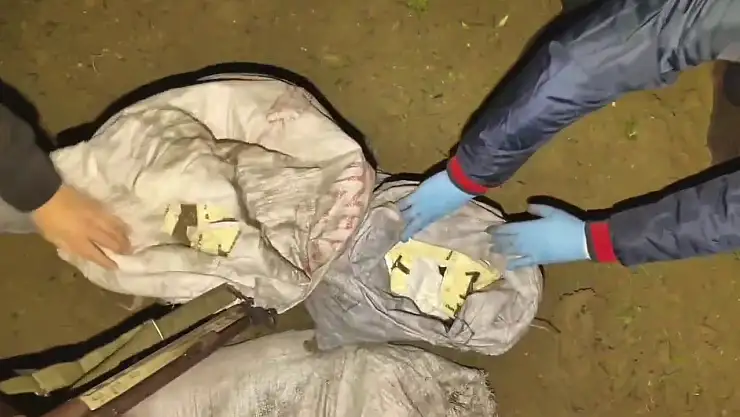 Zeytin bahçesinde uyuşturucu madde ele geçirildi!