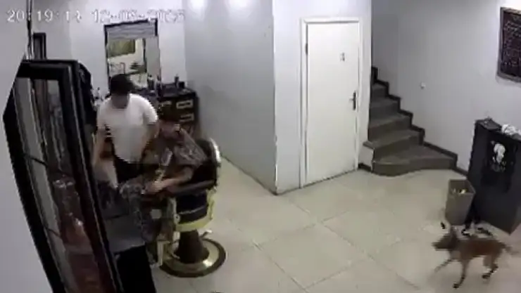 Zincirini koparan köpek müşteriye saldırdı