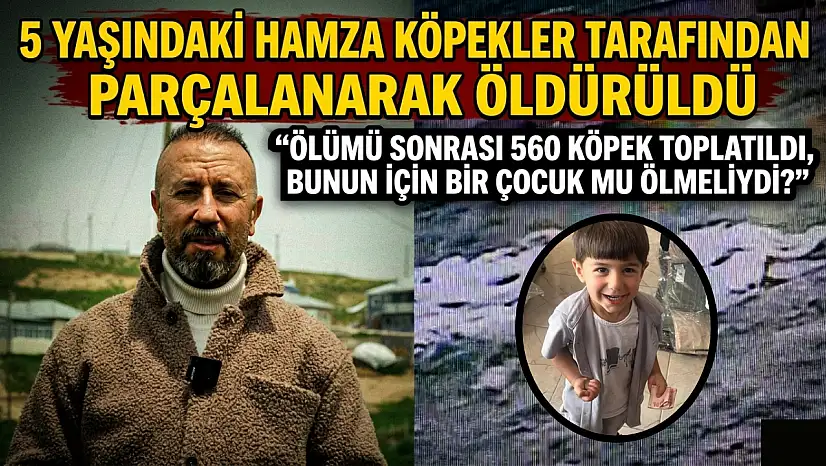 5 yasındaki Hamza köpekler tarafından parçalanarak öldürüldü: 'Ölümü sonrası 560 köpek toplatıldı bunun için bir çocuk mu ölmeliydi?'