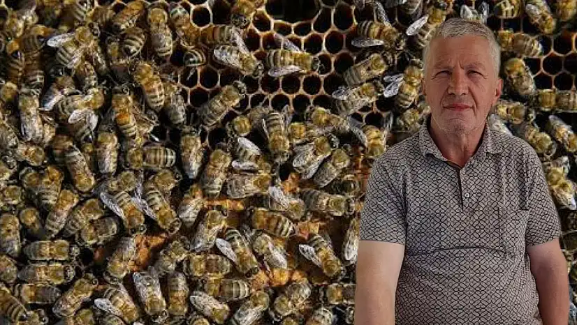 Bal arılarının soktuğu Yaşar Oturak hayatını kaybetti