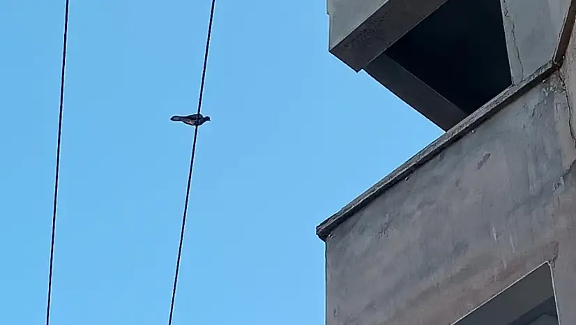 Balkondaki oyun faciaya dönüştü! Yüksek gerilim akımına kapıldı