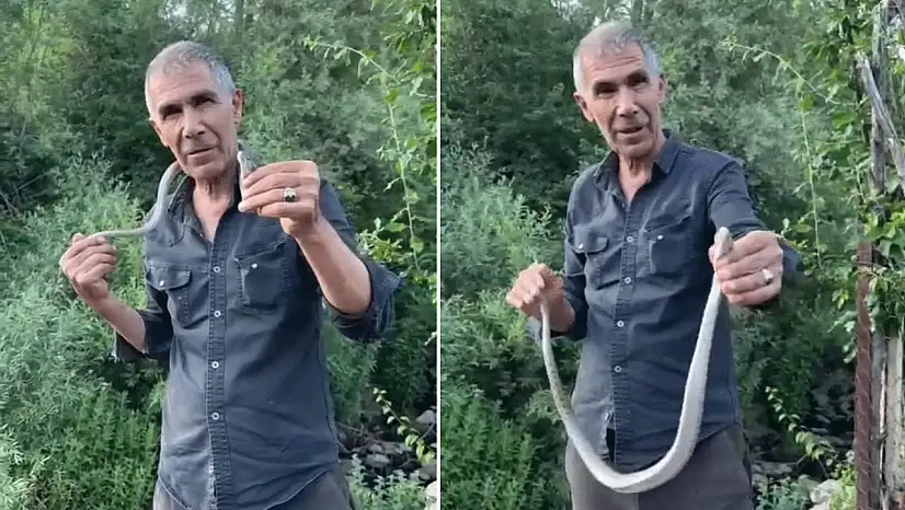 Bir ısırığı hayatına mal olabilecekken, onu boynuna doladı