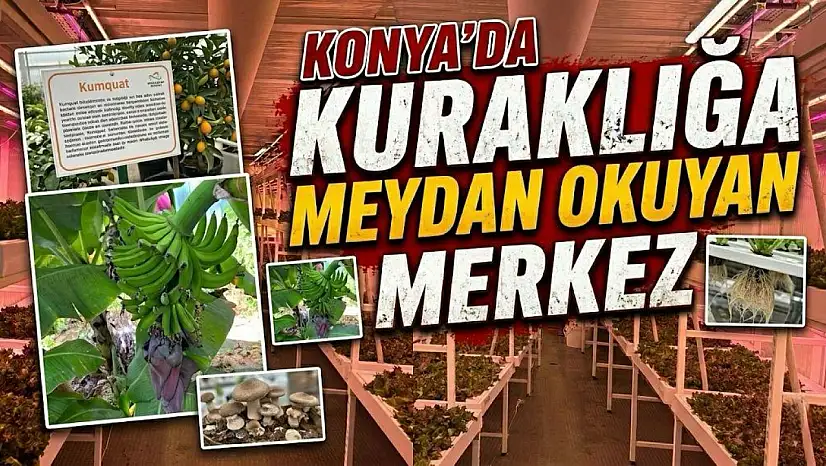 Konya'da kuraklığa meydan okuyan merkez