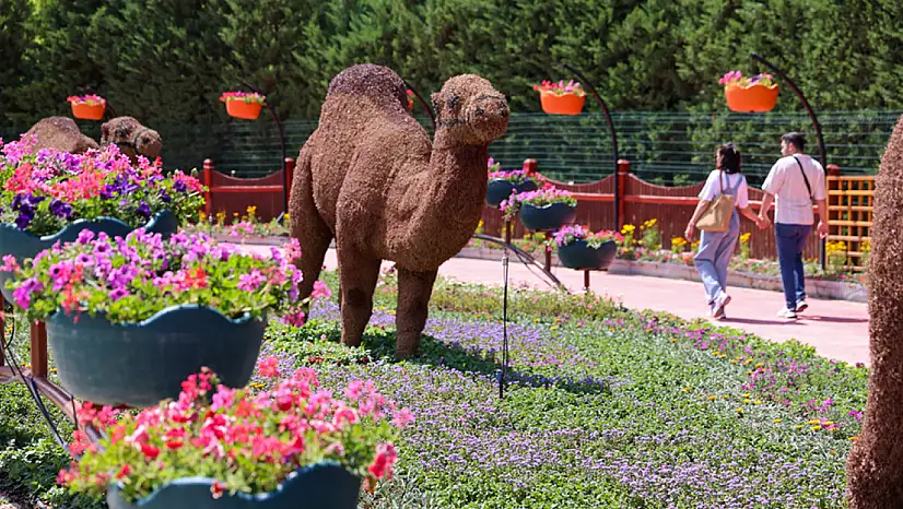 Konya'daki o park yüzünden telefon hafızaları doldu!