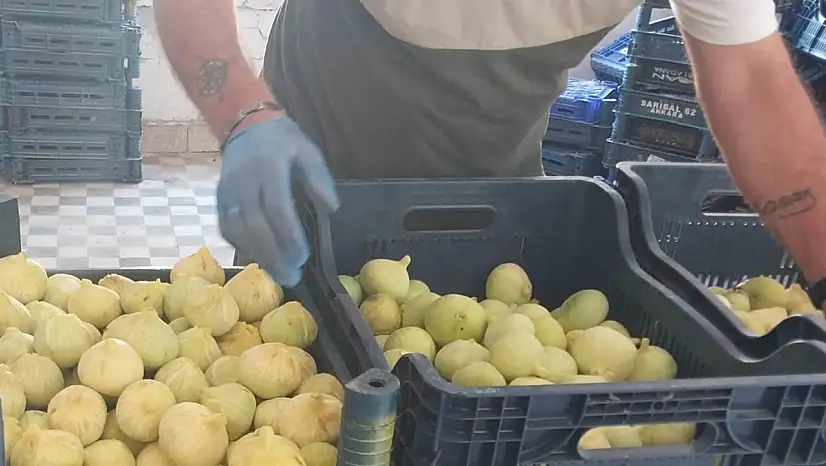 Konyalılar bu lezzette hasret kalacak!