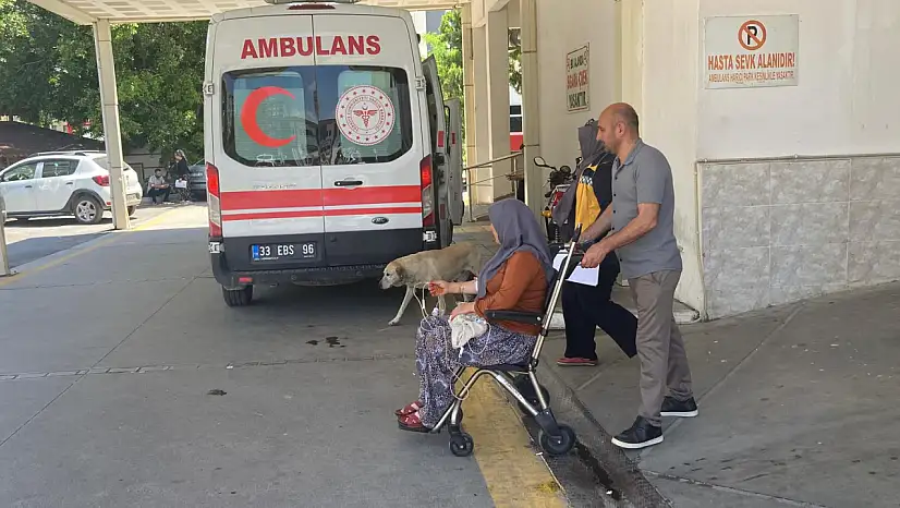 Mantar yiyen 7 kişi hastaneye kaldırıldı