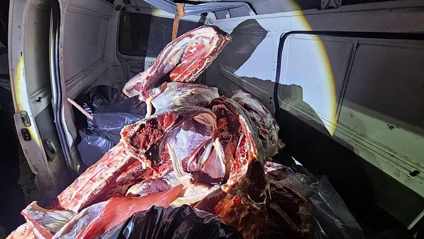 Menşei belirsiz 1 ton kırmızı et ele geçirildi
