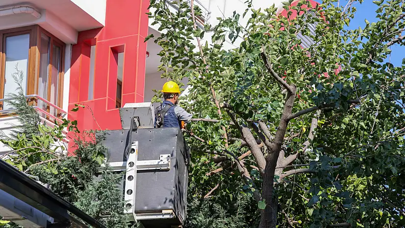 Meram'da kışa hazırlık başladı: Parklar ve bahçeler yenileniyor