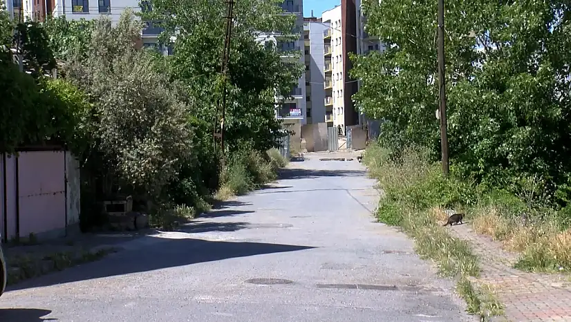 Silah sesini duydu dışarı çıktı, kurşunların hedefi olan kadın kurtarılamadı